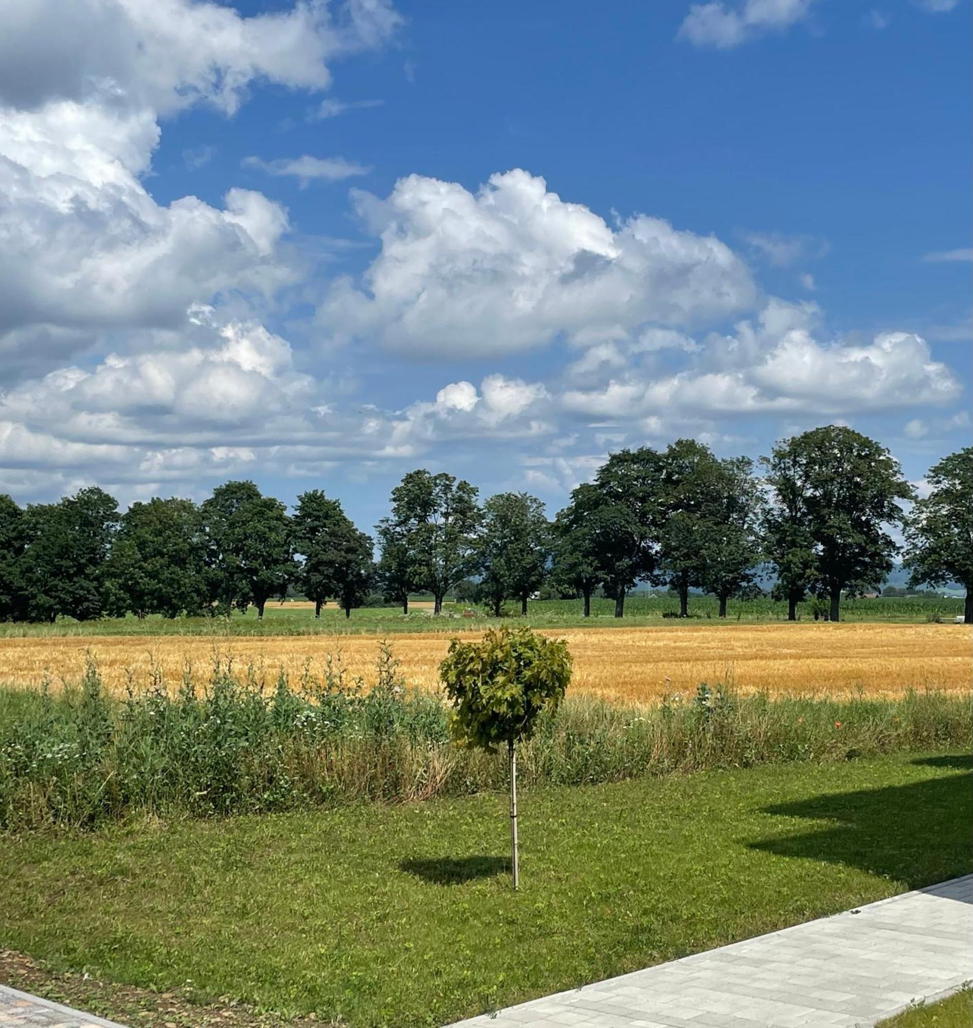 Studio Apartment Albblick Trossingen Luaran gambar